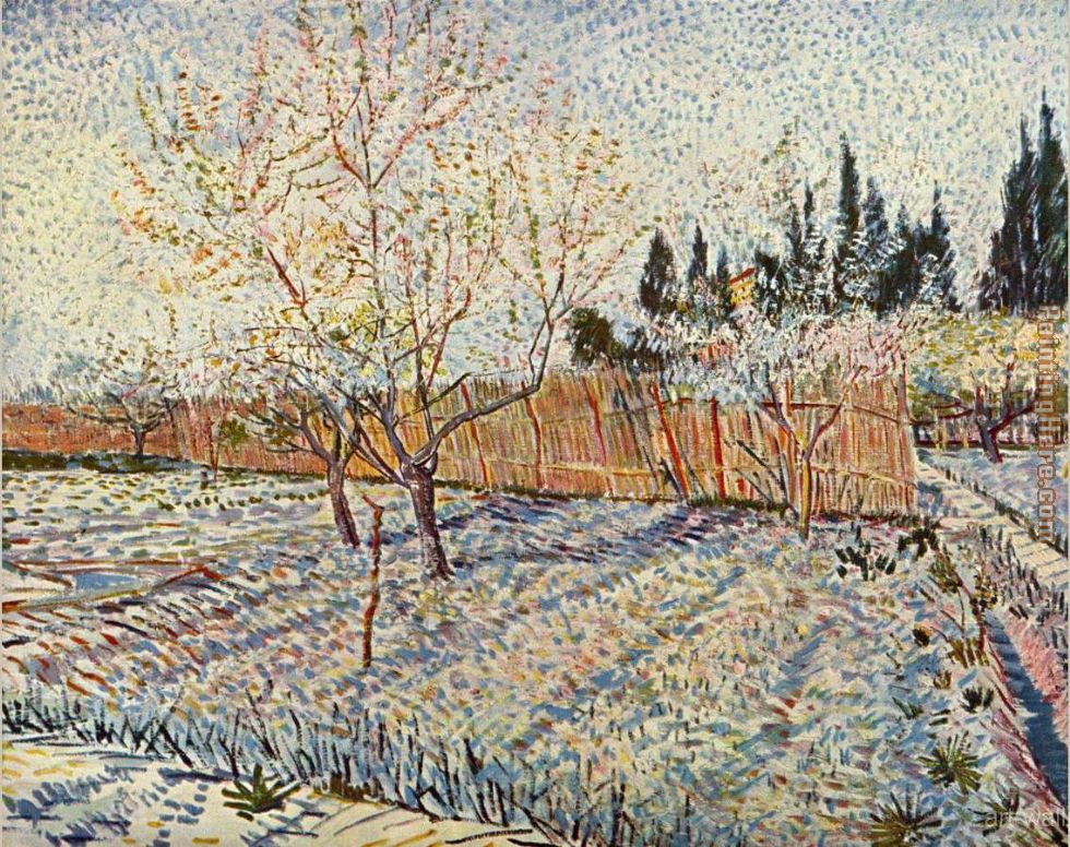 Orchard with cypress painting - Vincent van Gogh Orchard with cypress art painting